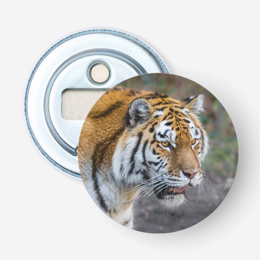 Amur tiger flaschenöffner (Vorderseite)