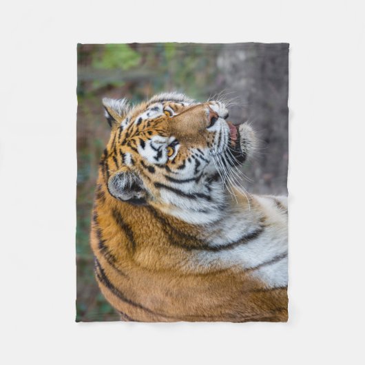 Amur tiger fleecedecke (Vorderseite)