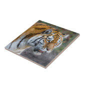 Amur tiger fliese (Seite)