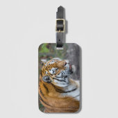 Amur tiger gepäckanhänger (Vorderseite Vertikal)