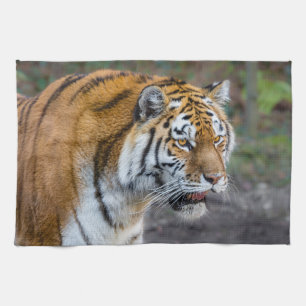 Amur tiger geschirrtuch