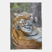 Amur tiger geschirrtuch (Vertikal)