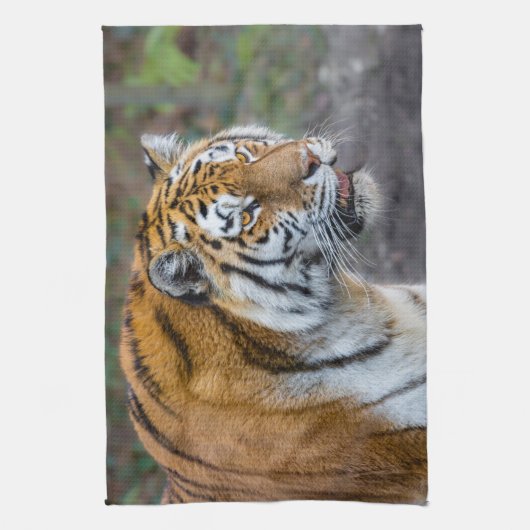 Amur tiger geschirrtuch (Vertikal)