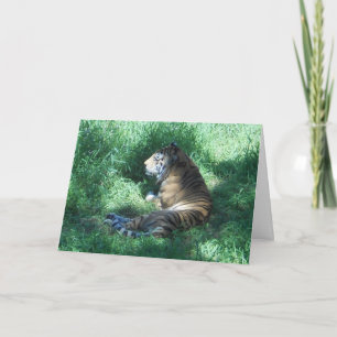 "Amur Tiger" Get Well Card Karte