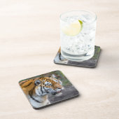 Amur tiger getränkeuntersetzer (Rechte Seite)