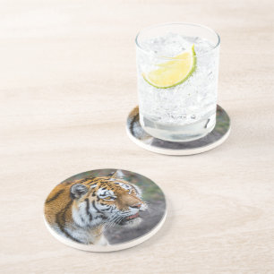 Amur tiger getränkeuntersetzer