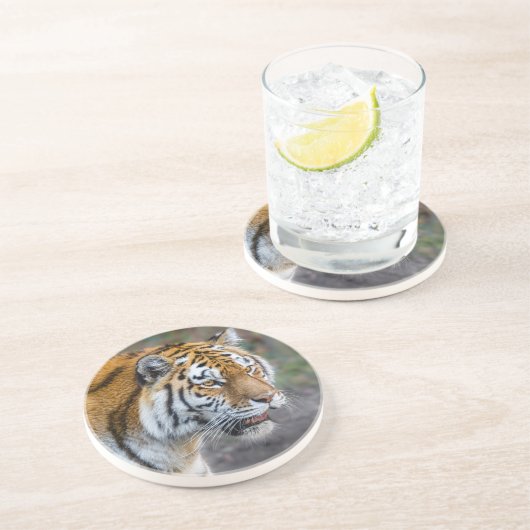 Amur tiger getränkeuntersetzer (Seite)