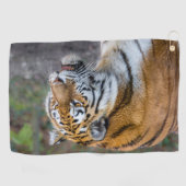 Amur tiger golfhandtuch (Horizontal)