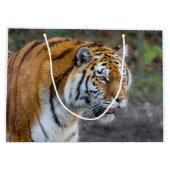 Amur tiger große geschenktüte (Rückseite)