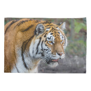 Amur tiger kissenbezug