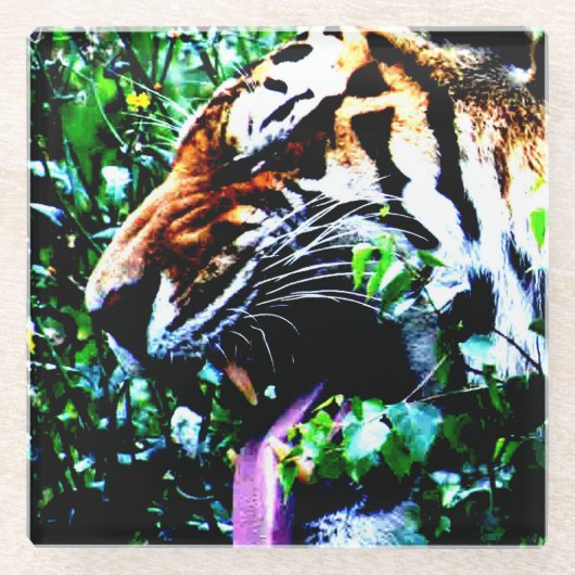 Amur Tiger Küstenercnm Glasuntersetzer (Vorderseite)