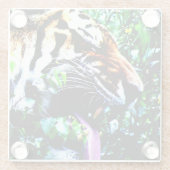 Amur Tiger Küstenercnm Glasuntersetzer (Rückseite)