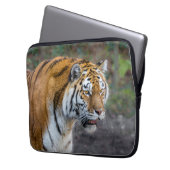 Amur tiger laptopschutzhülle (Vorderseite Links)