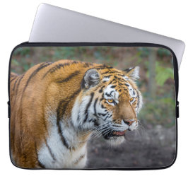 Amur tiger laptopschutzhülle