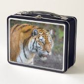 Amur tiger metall brotdose (Vorderseite)