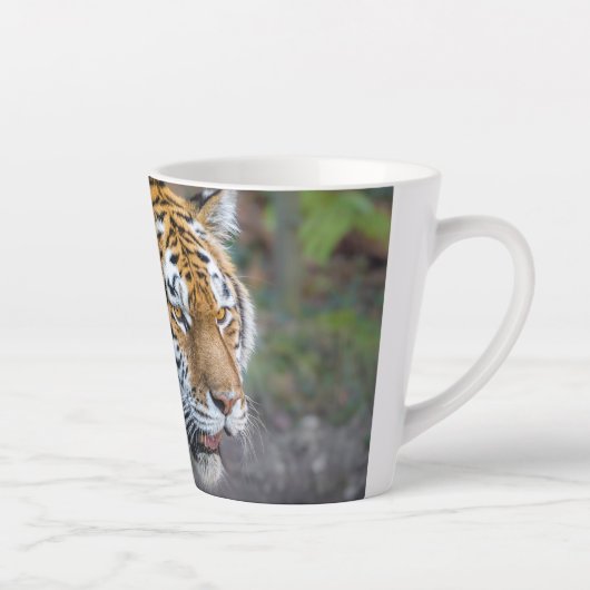 Amur tiger milchtasse (Rechts)