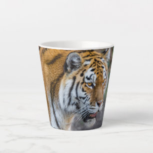 Amur tiger milchtasse