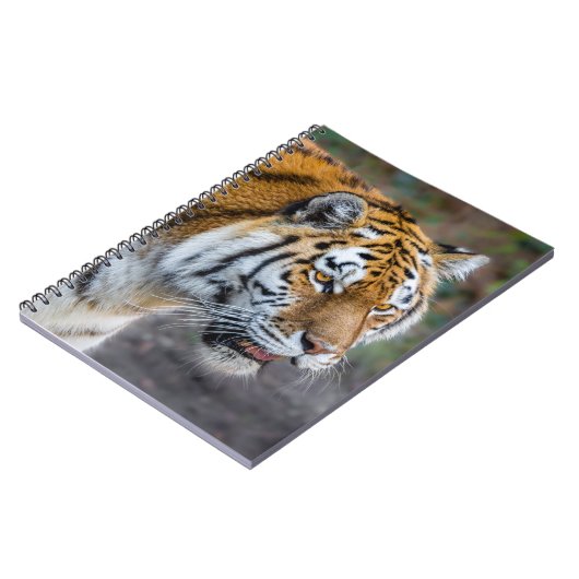 Amur tiger notizblock (Linke Seite)