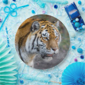 Amur tiger pappteller (Party)