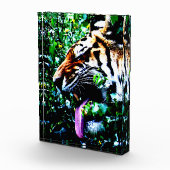 Amur Tiger pbcna Fotoblock (Rechts)