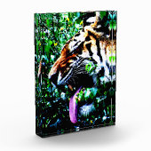 Amur Tiger pbm Fotoblock (Links)