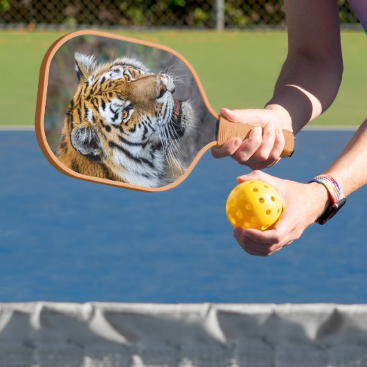 Amur tiger pickleball schläger (InSitu)