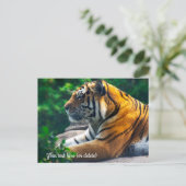 Amur Tiger Postcard Postkarte (Stehend Vorderseite)
