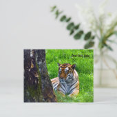 Amur Tiger Postcard Postkarte (Stehend Vorderseite)