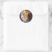 Amur Tiger Runder Aufkleber (Tasche)