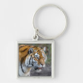 Amur tiger schlüsselanhänger (Vorne)