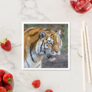 Amur tiger serviette