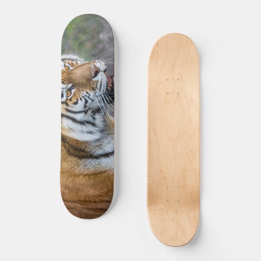 Amur tiger skateboard (Vorderseite)