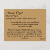 Amur Tiger Species Info Postkarte (Rückseite)