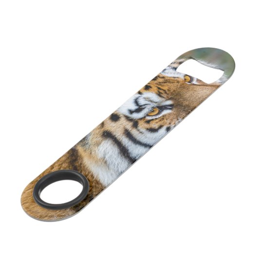 Amur tiger speed flaschenöffner (Vorderseite Schrägansicht)