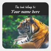 Amur Tiger Sticker (Vorderseite)