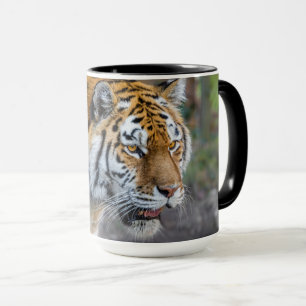 Amur tiger tasse