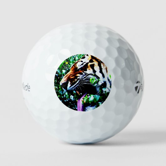 Amur Tiger tmtp5 gbcna Golfball (Vorderseite)