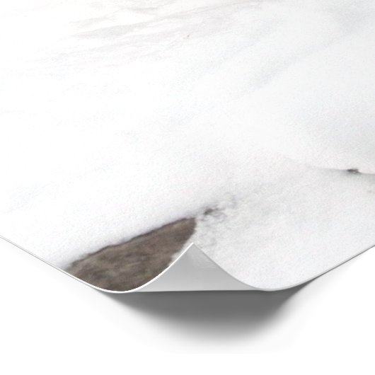 Amur tiger und Cub Poster (Ecke)