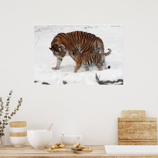Amur tiger und Cub Poster (Küche)