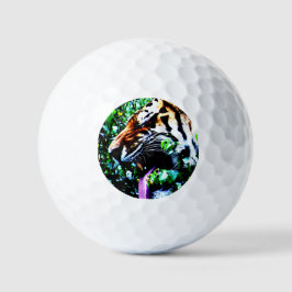 Amur Tiger va gbcna Golfball