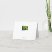 Amur Tigers Grußkarte Karte (Rückseite)