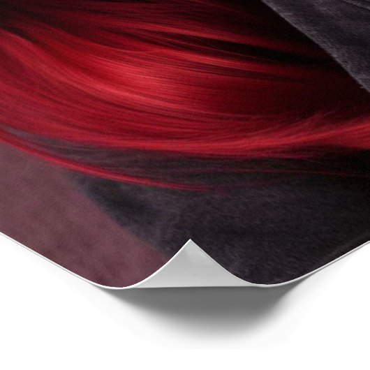 Amy Rosen Poster (Ecke)