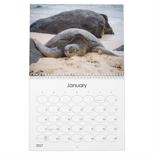Amy Stonebraker Fotografie-Kalender 2014 Kalender (Jan 2027)