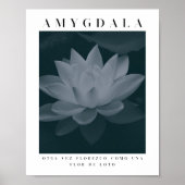 AMYGDALA - LOTUS-BLUME, Graupalette, Vintag Poster (Vorne)