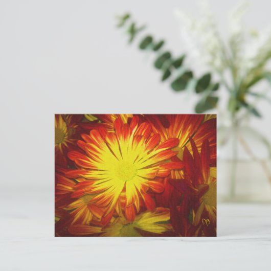 Amys Blume Postkarten (Stehend Vorderseite)