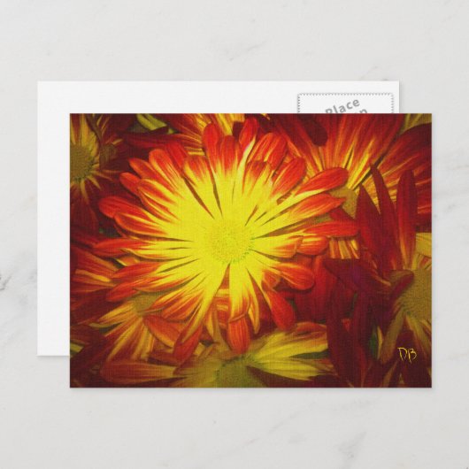 Amys Blume Postkarten (Vorne/Hinten)