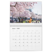 Amy's Dritter Kalender 2025 (Mär 2027)