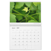 Amy's Foto-Kalender 2021 Kalender (Mär 2027)