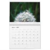 Amy's Foto-Kalender 2022 Kalender (Mär 2027)
