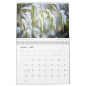 Amy's Foto-Kalender 2023 Kalender (Jan 2027)